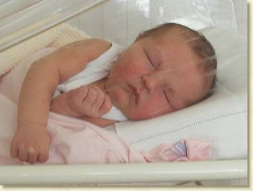 20040918-02 Close up in zijn ZH-wiegje